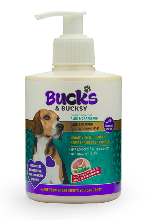 Знакомьтесь — Bucks & Bucksy